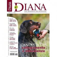 Diana n°7 Prossimamente in Edicola..